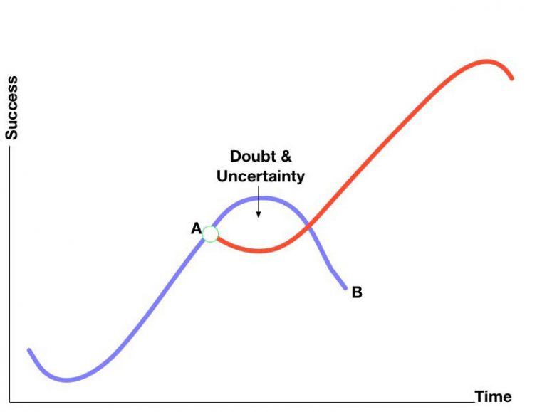 The second curve - Leadership & Flow